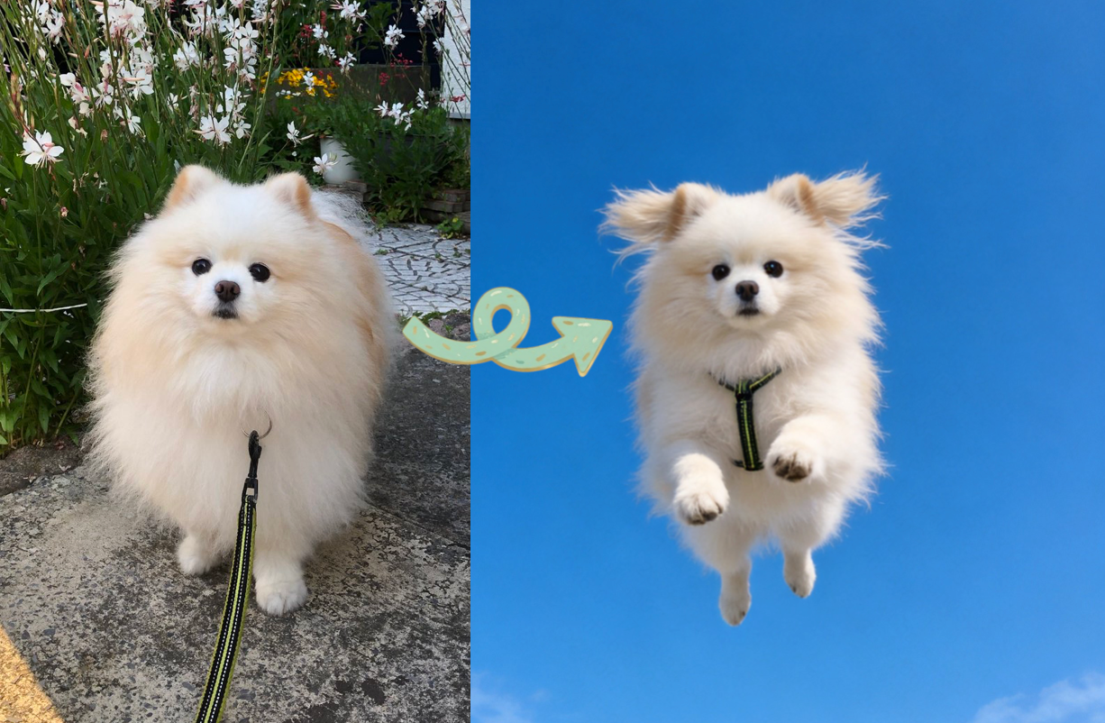 AI creates a surreal floating dog portrait in bright blue sky - low-angle bug-eye perspective with wispy clouds, frozen mid-leap action shot, commercial ad quality